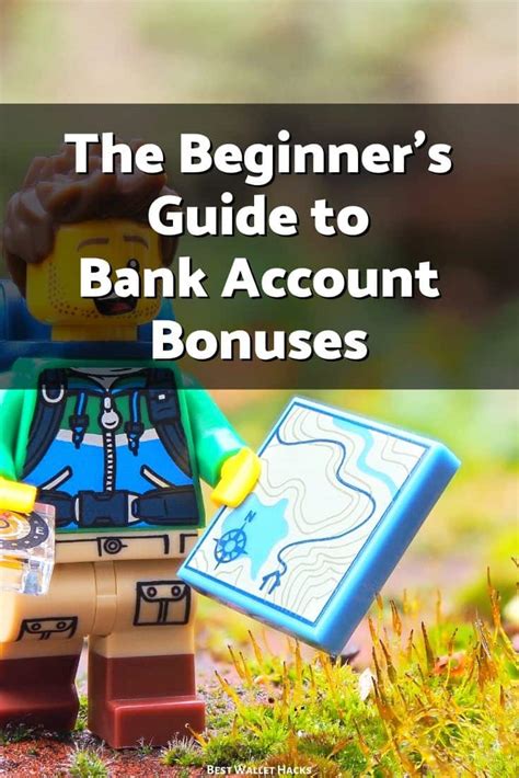 Beginner's Bonus Guide .